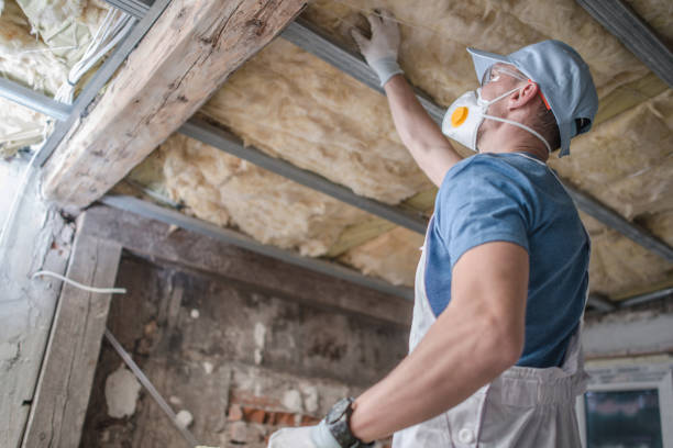 Best Insulation Installation Services in Savannah, TN