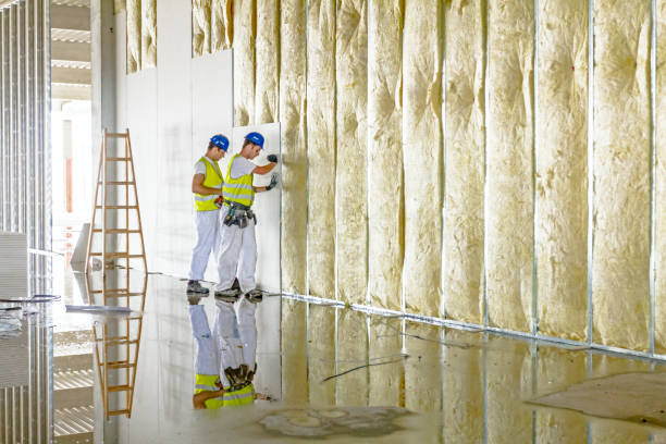 Best Insulation for Specific Applications in Savannah, TN
